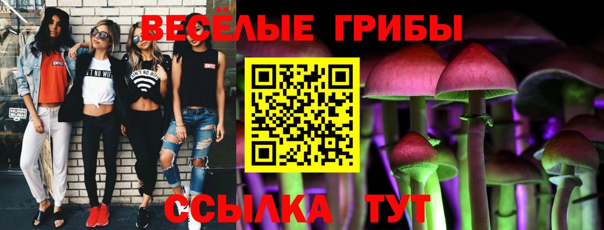 Псилоцибиновые грибы мухоморы Гусиноозёрск